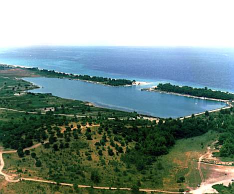 pefkohori6.jpg (27633 bytes)
