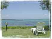 View This Picture!