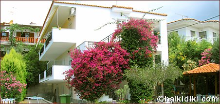 Svetlana's Studios, Toroni, Sikia, Sithonia, Chalkidiki, Griechenland