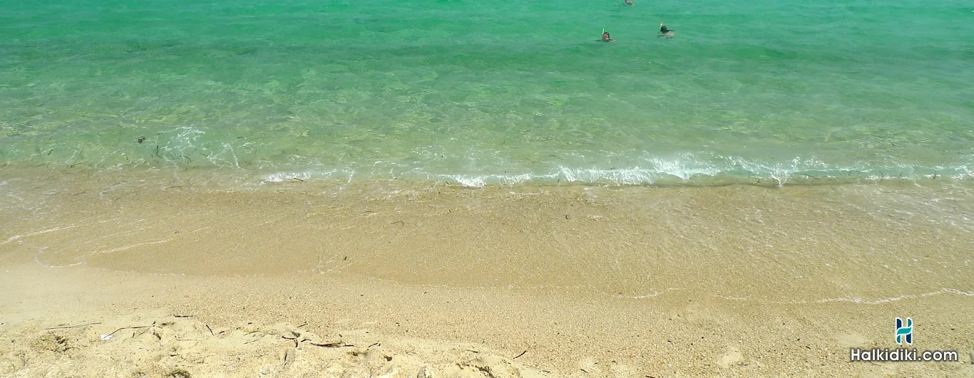 Your Favorites - Halkidiki.com