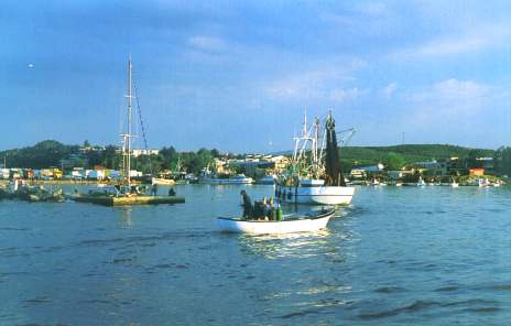 The harbour of Nea Moudania