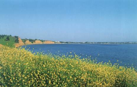 The east side of the coast with its characteristic rocks