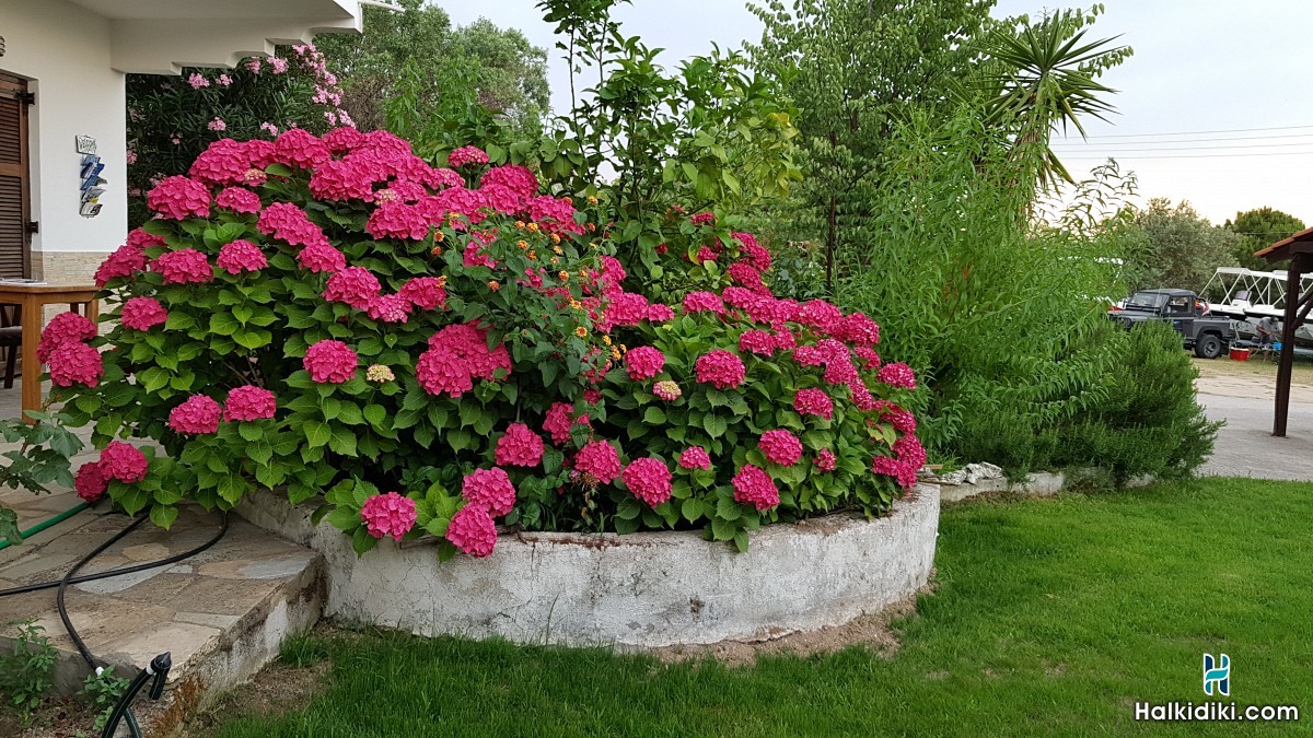 Nikos & Panagiota, Außen