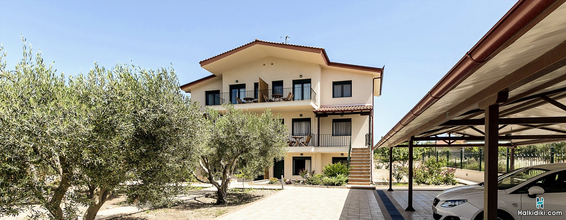 Olive Tree Apartments