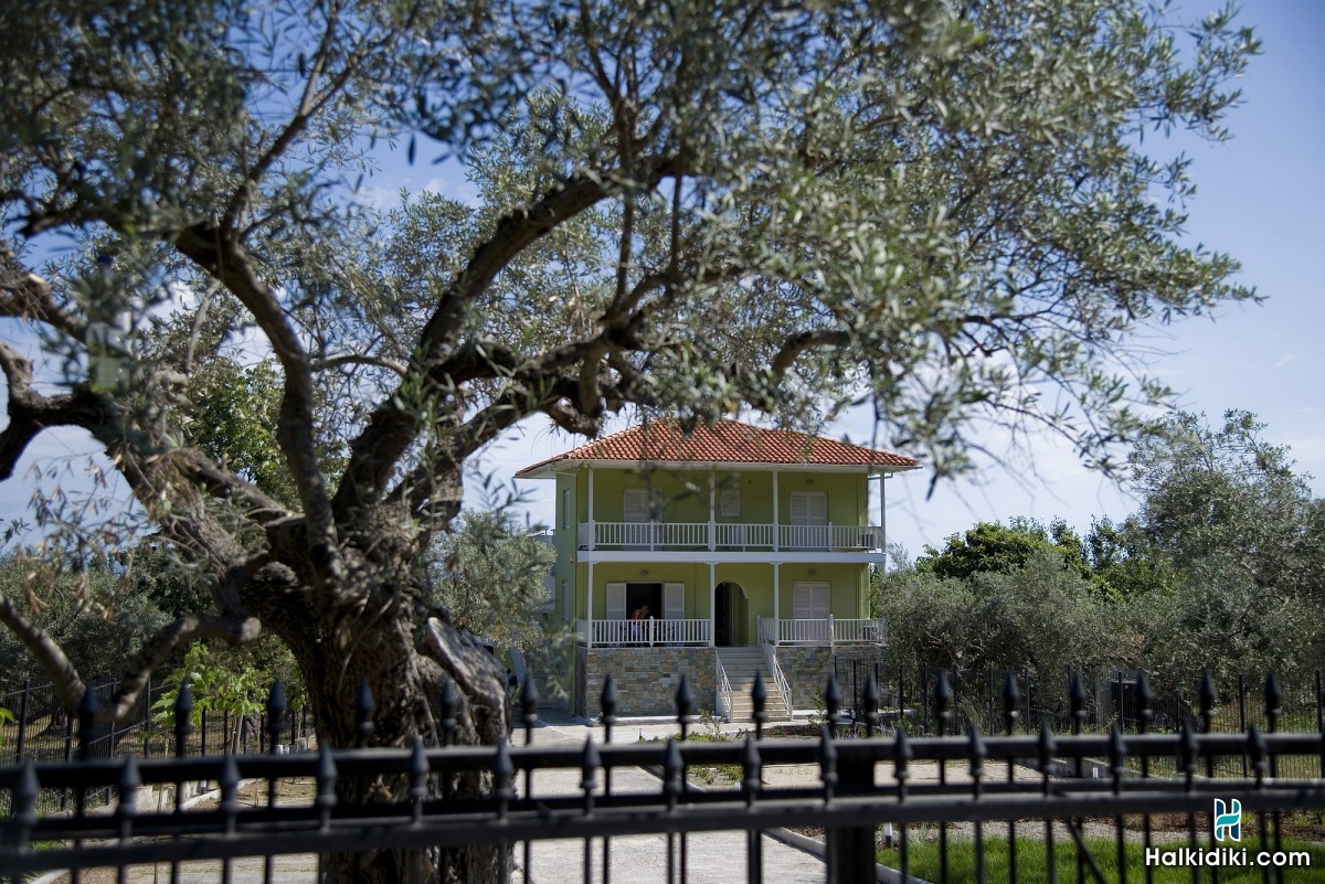 Olivegrove House, Olivegrove House