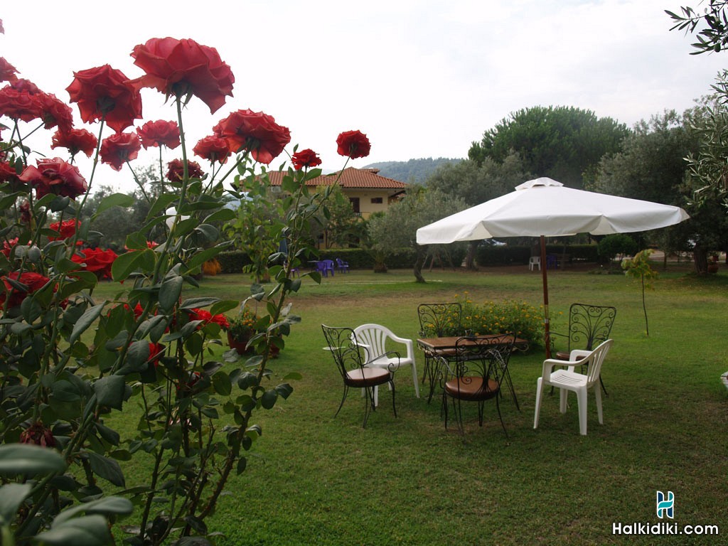 Litsa Panagi Apartments, The Garden