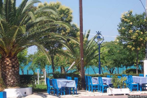 Lovely little restaurant near the beach in Hanioti.