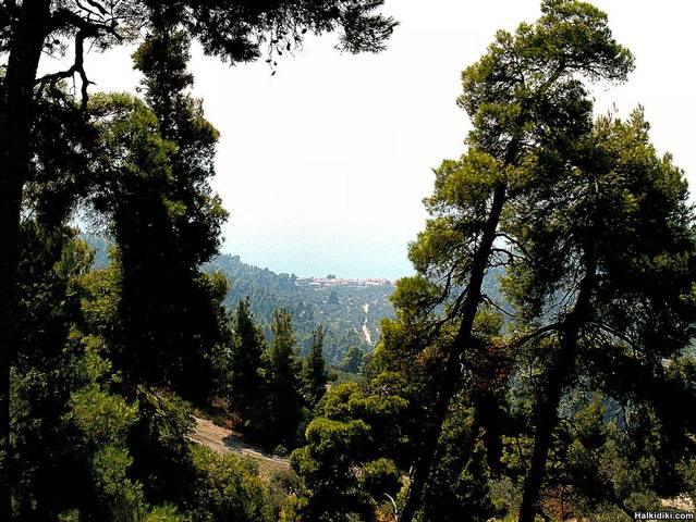 Looking_towards_the_sea_between_Loutra_and_Nea_Skioni