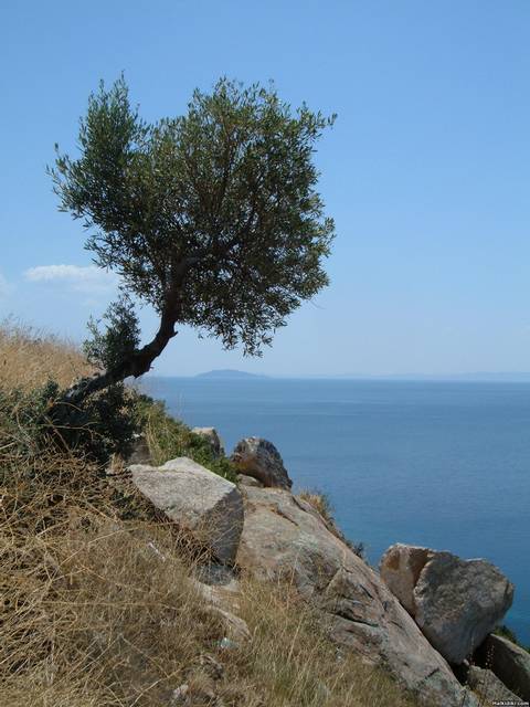 Sithonia_-_View_1