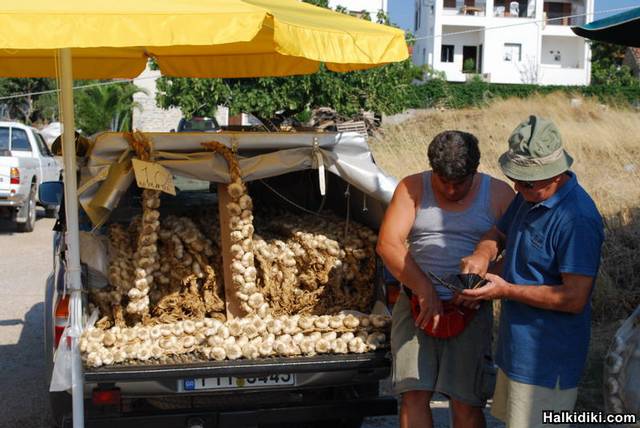 garlic salesman on the farmer's market