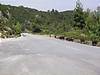 DSCN0376.JPG