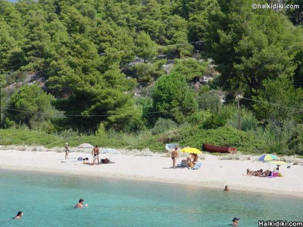 kalogria beach, nikiti, sithonia, halkidiki, greece