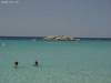 DSC02125.jpg