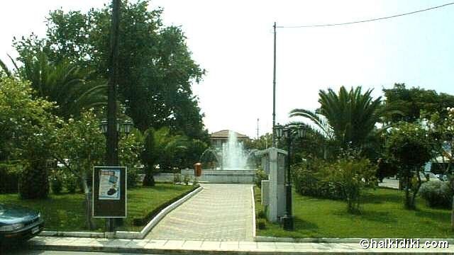 potidea13.jpg (35240 bytes)
