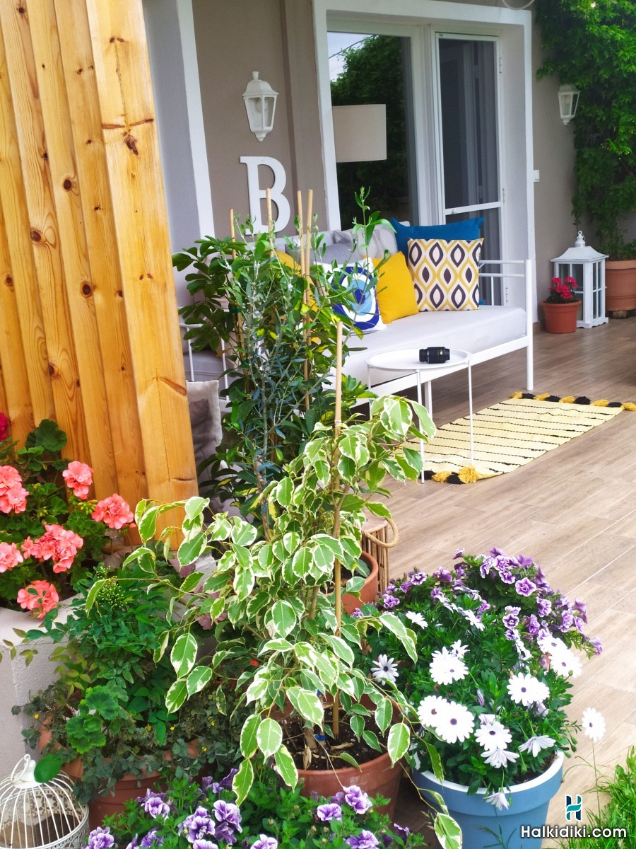 Siggos Suites, 