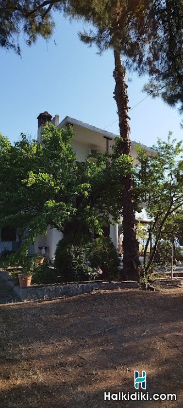 Theodora's House, Εξωτερικοί χώροι