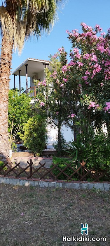 Theodora's House, Εξωτερικοί χώροι