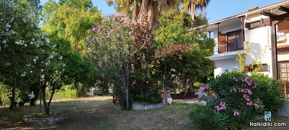 Theodora's House, Εξωτερικοί χώροι