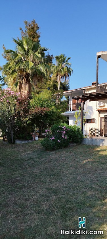 Theodora's House, Εξωτερικοί χώροι