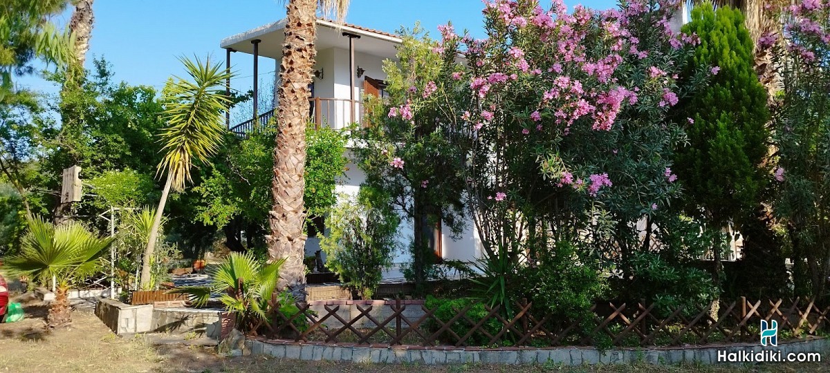 Theodora's House, Εξωτερικοί χώροι