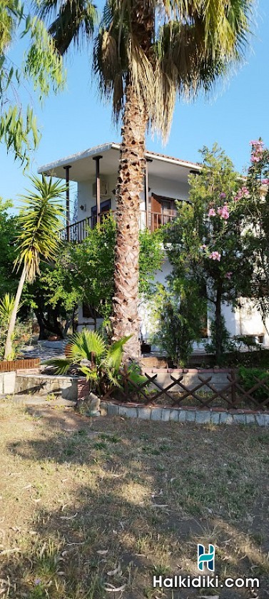 Theodora's House, Εξωτερικοί χώροι