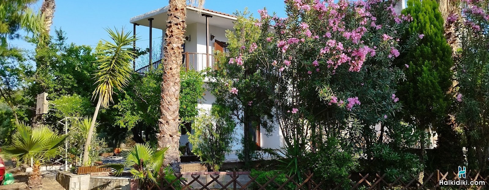 Theodora's House