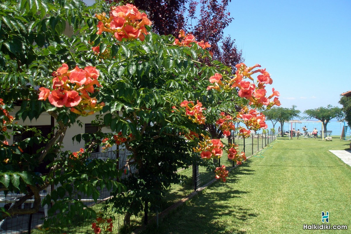 Villa Alexandra, Κτήριο Α